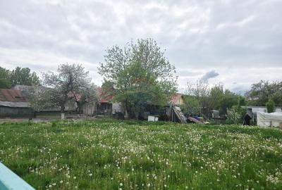 Teren Construcții intravilan de 325 mp, în Dobreni - 1