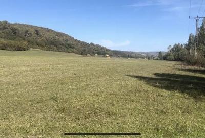 Teren Construcții extravilan de 7500 mp, în Bradu - 1