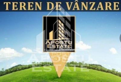 Teren intravilan,Puz Aprobat in Ghiroda 3300 mp. - 2