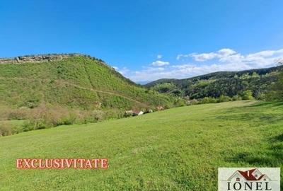 Casa de vanzare cu 46774 mp teren in zona Vintu - 9