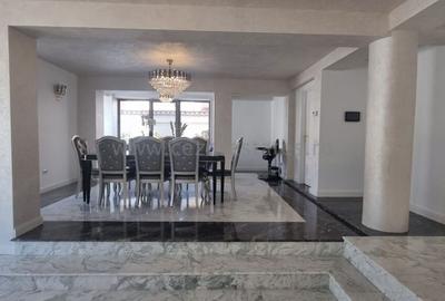 PIPERA IANCU NICOLAE VILA LUX RENOVATA COMPLET 2022 - 36