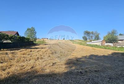 Teren intravilan, 7500 mp in Moara Carp / Strada Eternita... - 11