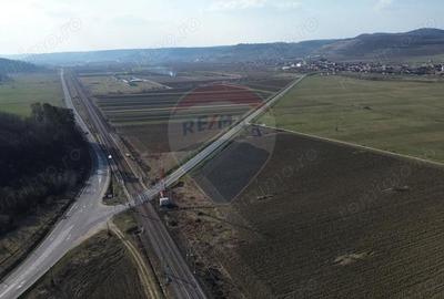 Teren de 19319 mp, în Hoghilag - 11