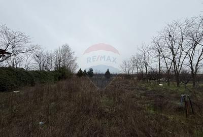 Teren de vanzare in Poiana Ovidiu Constanta - 3