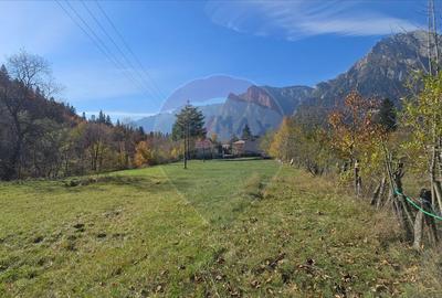 Teren de 1117 mp, în Zamora