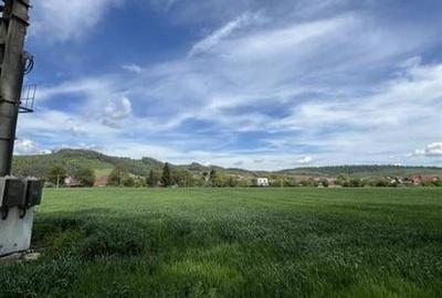 Cu PUZ, Tohanu Nou, Brasov - 3
