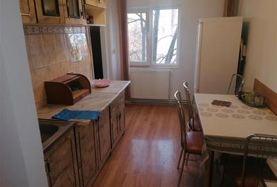 Apartament cu 2 camere decomandat în Vlădeasa - 6