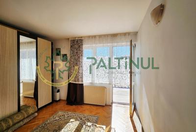 Casă Turnișor – 280 mp utili, teren 515 mp, curte și grădină pe rod - 10