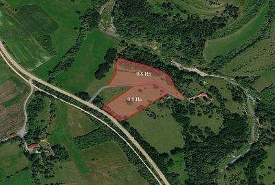 Teren de 16000 mp, în Călățele
