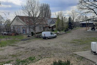 Casă cu Teren 10500 Mp în Vârteșcoiu - 15