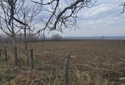 Teren de 13000 mp, în Mihai Eminescu
