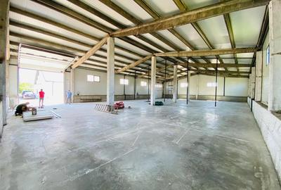 Spațiu industrial, de 540 mp, în Central - 17