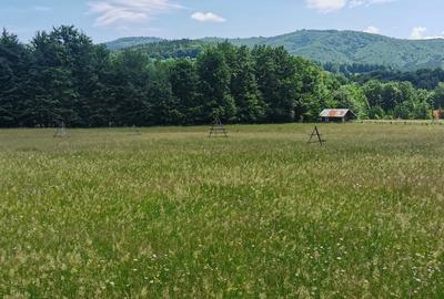 Teren intravilan de 5000, plat, orizontal la poalele muntelui, pe malul Doftanei - 10