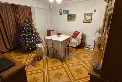 Aparatemnt Tineretului Pet Friendly CENTRALA + PARCARE - 8