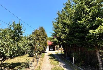 Casa Targoviste, Dambovita, Viforata