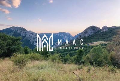 Teren agricol extravilan de 3174 mp, în Râmeț - 2