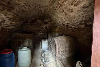 Casă cu 3 camere în Cetariu - 10