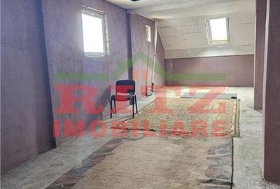 Spațiu comercial, de 250 mp, în Studina - 13