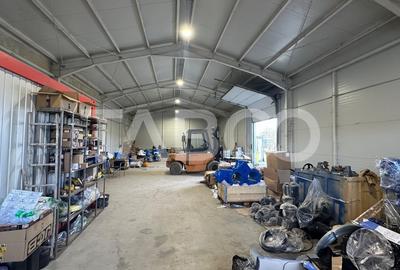 Hala industriala acces direct din DnE1 de vanzare in Cristian Sibiu - 5