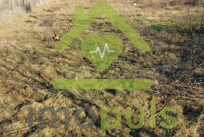 ? Teren la Ianova in vatra satului, 50 euro/mp? - 2