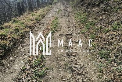 Teren agricol extravilan de 1850 mp, în Bistra - 4