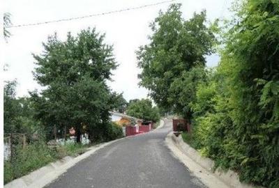Casă cu 2 camere cu Teren 2361 Mp în Costinești - 11