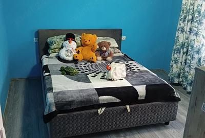 Casă cu 2 camere cu Teren 300 Mp în Bârnova - 2