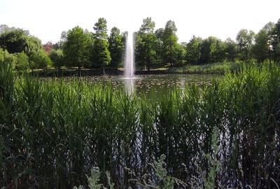 Apartament decomandat în Parcul Circului - 16