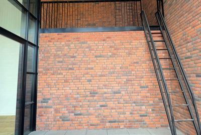 Loft spectaculos în complexul exclusivist Brick Loft – Intrarea Chefalului - 18