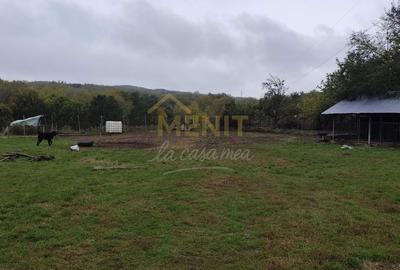 Casă cu 4 camere cu Teren 11250 Mp în Ștubeiu - 11