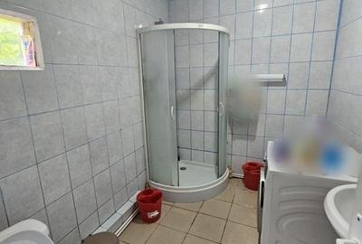 Casă de vânzare la liziera pădurii - Comuna Bogați, Argeș - 10