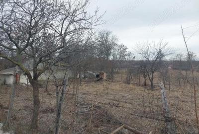 Teren de 3400 mp, în Gălățeni - 4