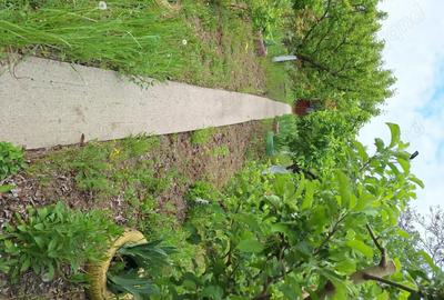 Casă cu 4 camere cu Teren 2093 Mp în Murgești - 1