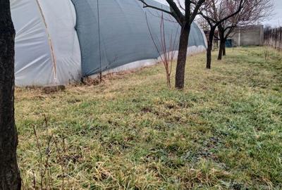 Casă cu 2 camere în Gepiu - 7