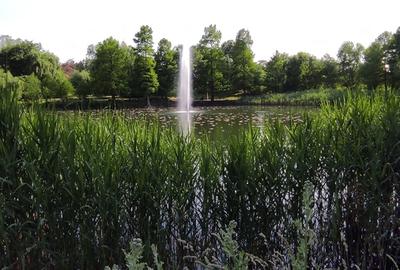 Apartament decomandat în Parcul Circului - 2