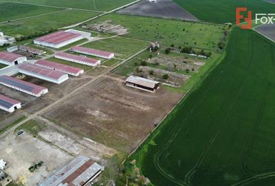 Teren Construcții intravilan de 58340 mp, în Sânmartinu Sârbesc - 10