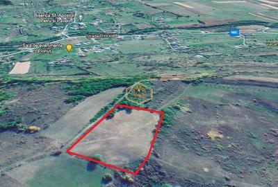 Teren Construcții extravilan de 9500 mp, în Sud - 14