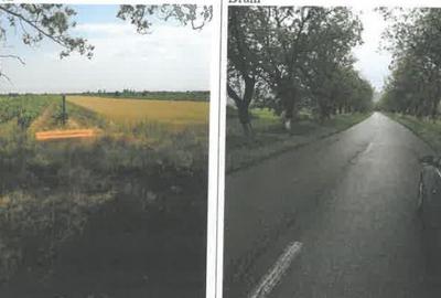 Teren de 1200 mp, în Pietroasele