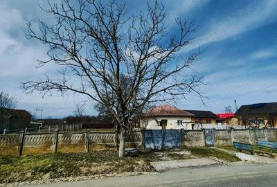 Casă cu 3 camere cu Teren 2760 Mp în Scoarța - 1