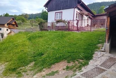 Casă cu 4 camere cu Teren 2500 Mp în Câmpulung Moldovenesc - 5