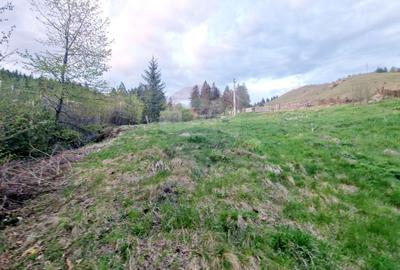 Teren cu vedere la Muntele Ceahlau - 13