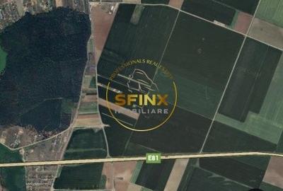 Teren intravilan Branesti 27000 mp km 12 Autostrada A2 - 5