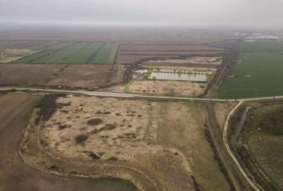 Teren extravilan in Ineu - 7