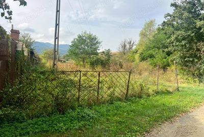 Teren de 4450 mp, în Șoimuș