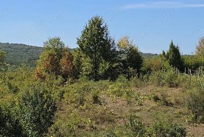 Casă cu 2 camere în Chicerea - 3
