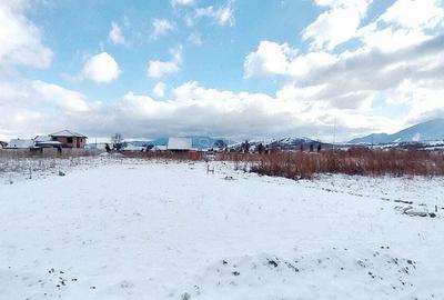 Teren Rezidential Zarnesti - 1