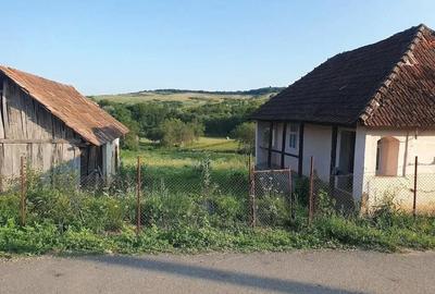Teren de 3300 mp, în Firminiș - 4