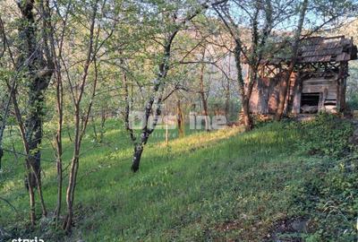 Casă cu 2 camere în Șerbănești - 3