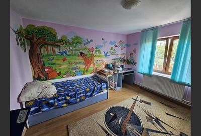 Casă cu 10 camere cu Canalizare în Cordun - 14