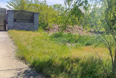 Casă cu Teren 1400 Mp în Tormac - 2